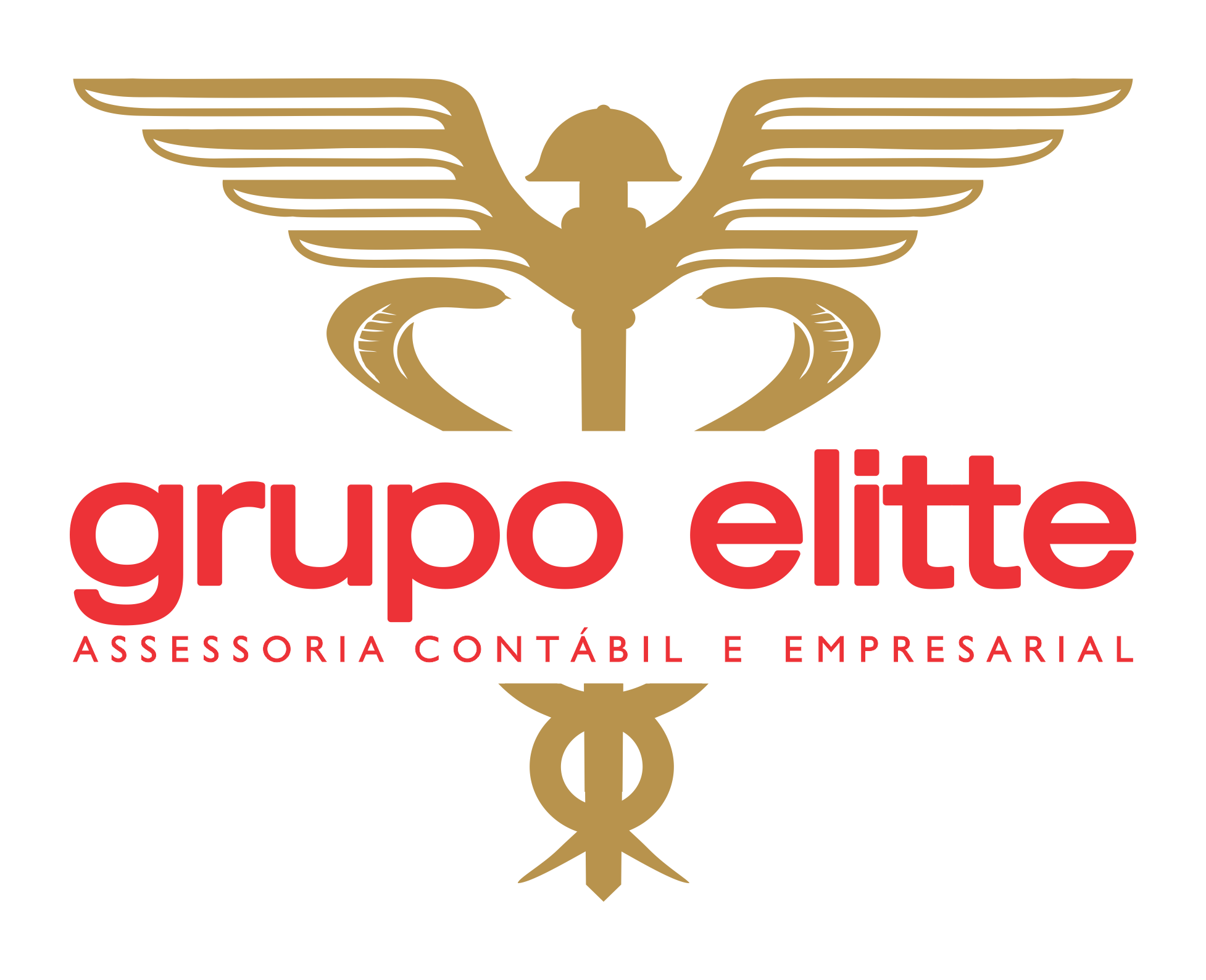 Grupo Elitte